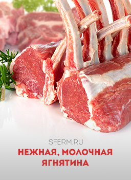 ����� � �����.��: ��������