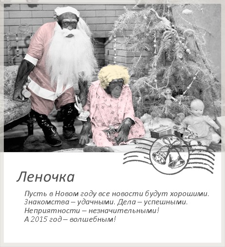 Поздравления с днем рождения двигающиеся картинки Поздравления с днем рождения двигающиеся картинки