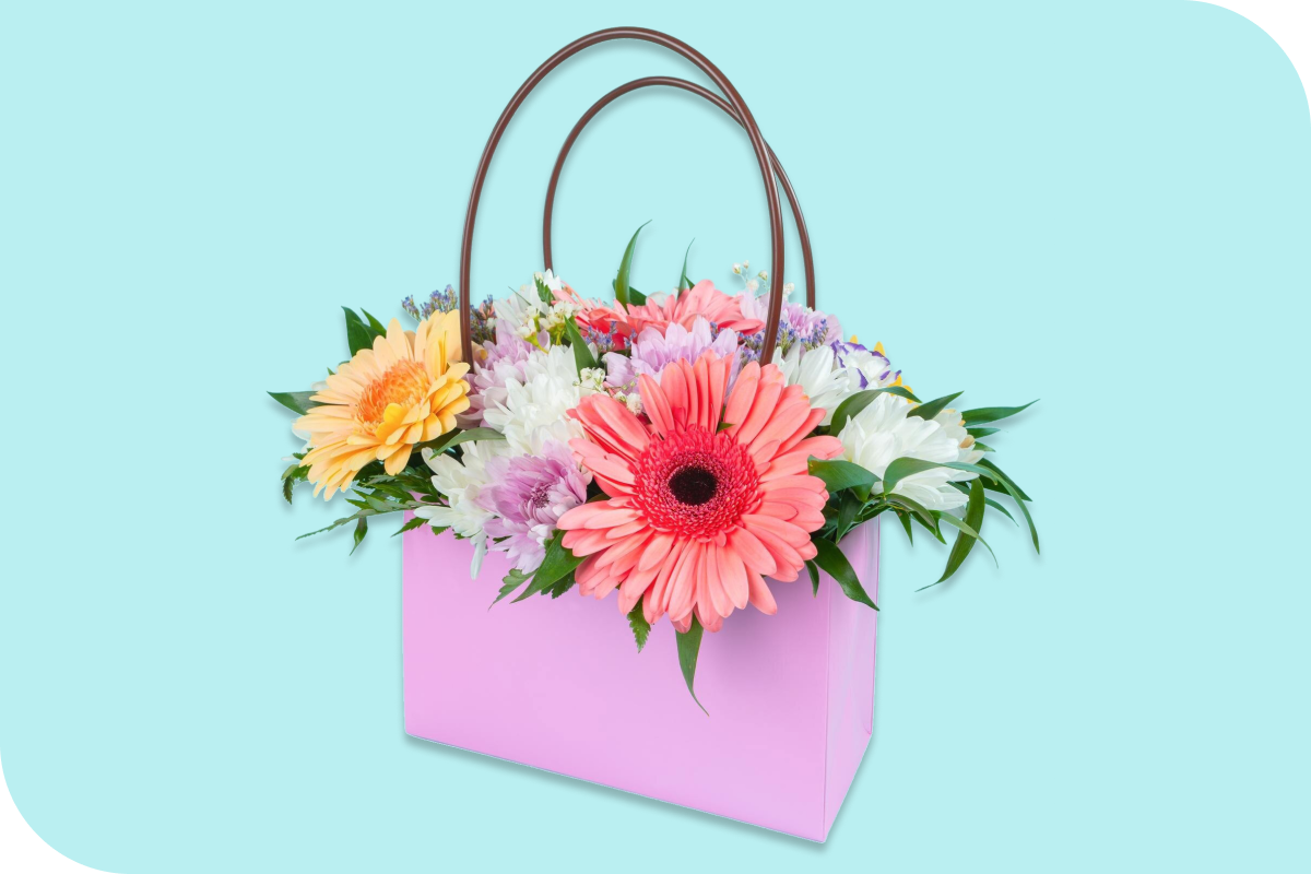https://www.mnogo.ru/nshop/products/76854/