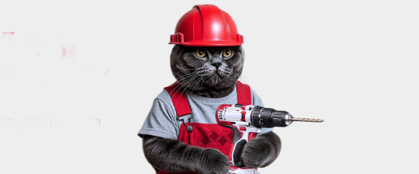 ������ 12% �� ���� ����������� � ���������!