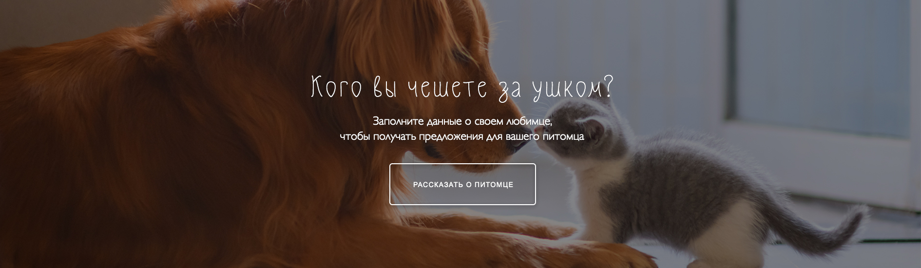 ���� �� ������ �� �����?